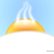 Sunny Side Up